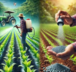 تفاوت کودهای مایع و کودهای جامد